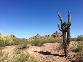 13083371_10209041309613957_6841760751063450198_n