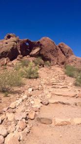 13087549_10209041310693984_1065302131399554724_n