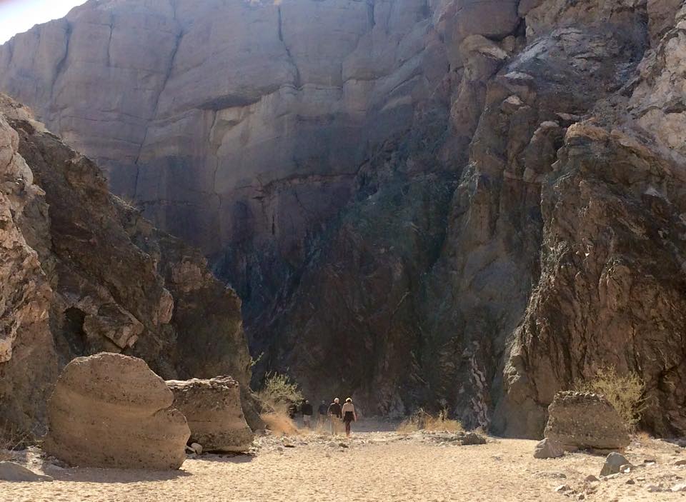 10417563_10205422615868875_9072080519040101053_n