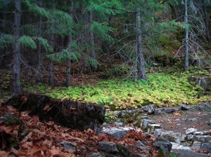 PHOTO_6334137_21864_7489354_ap