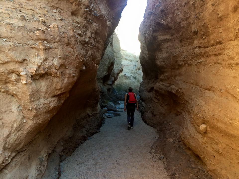 10906265_10205422618268935_310614333550060154_n