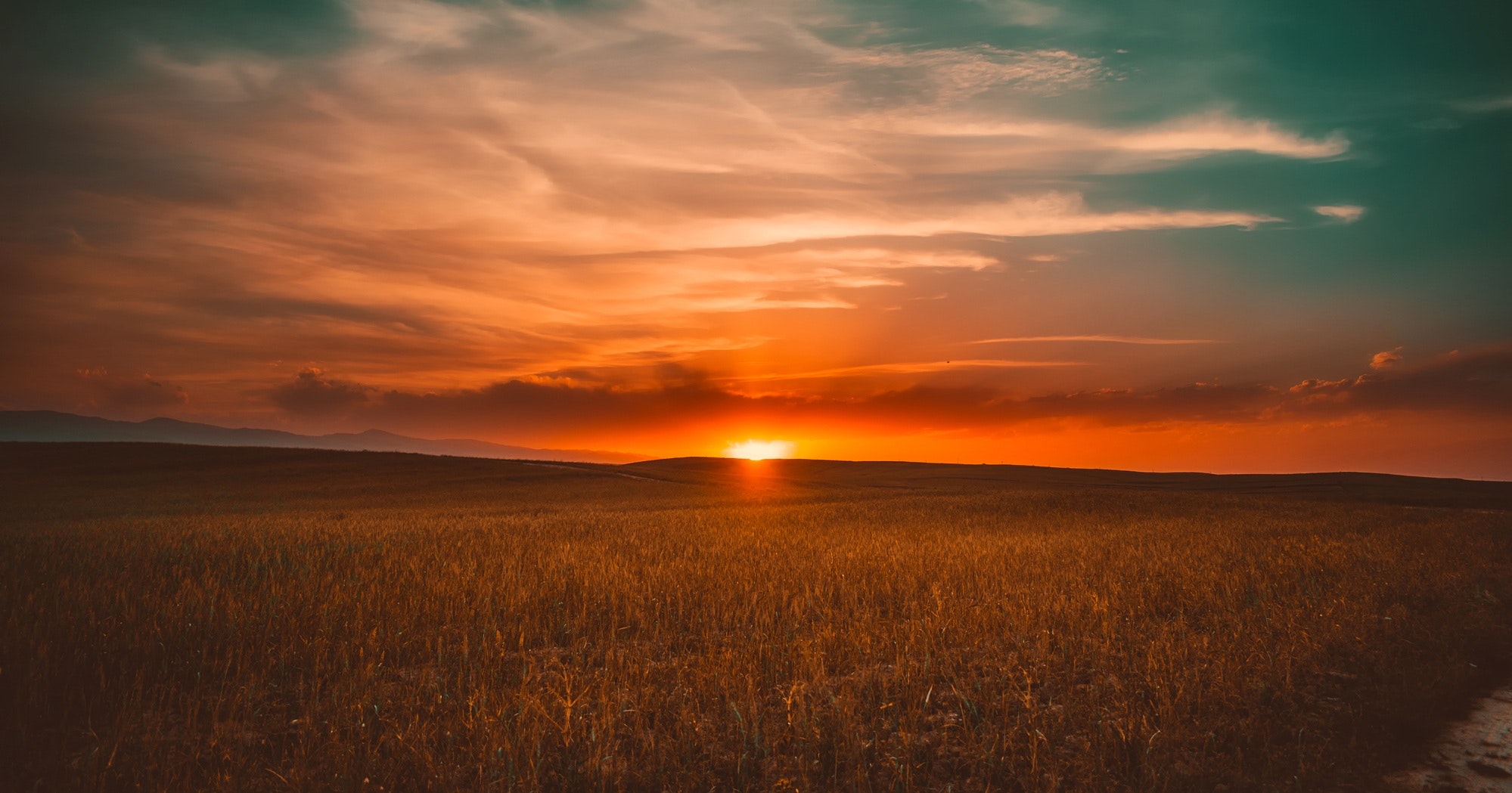 clouds sunset and crops in the country