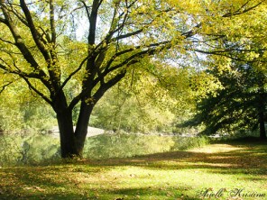 Photo by Arielle Kristina via Flickr