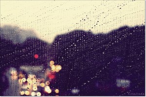 Winter Rain by Yen H Nguyen via Flickr