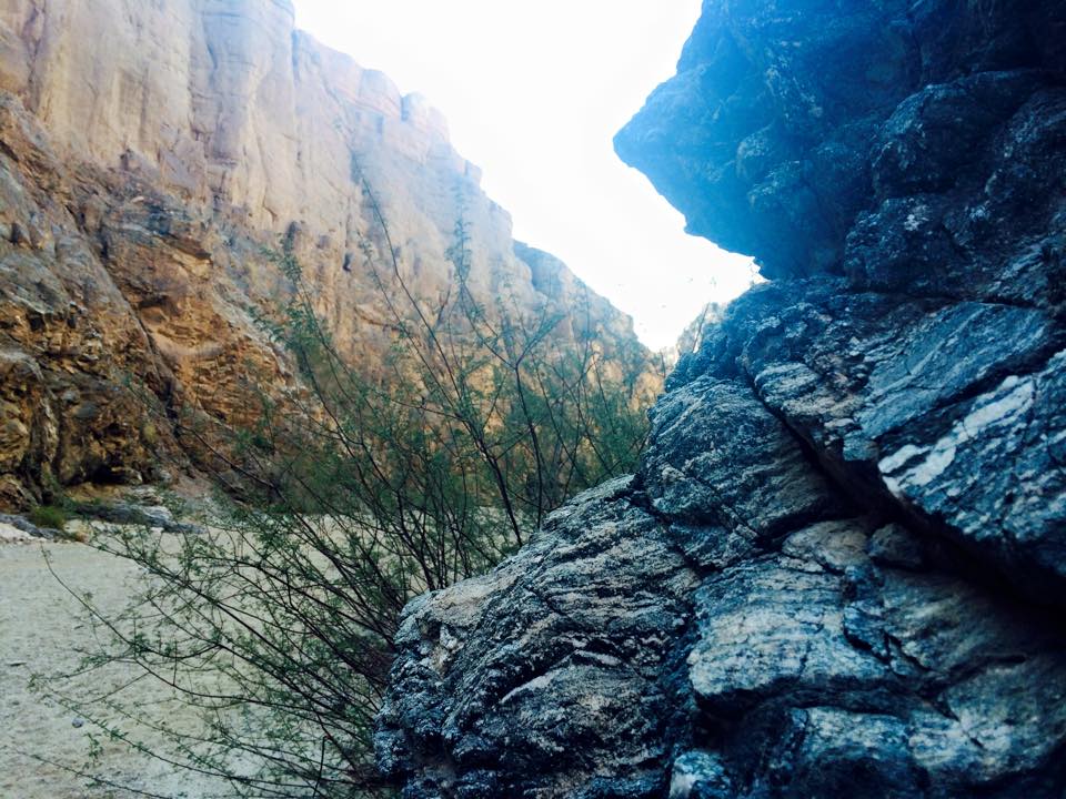 10885554_10205422615108856_510181707160489047_n