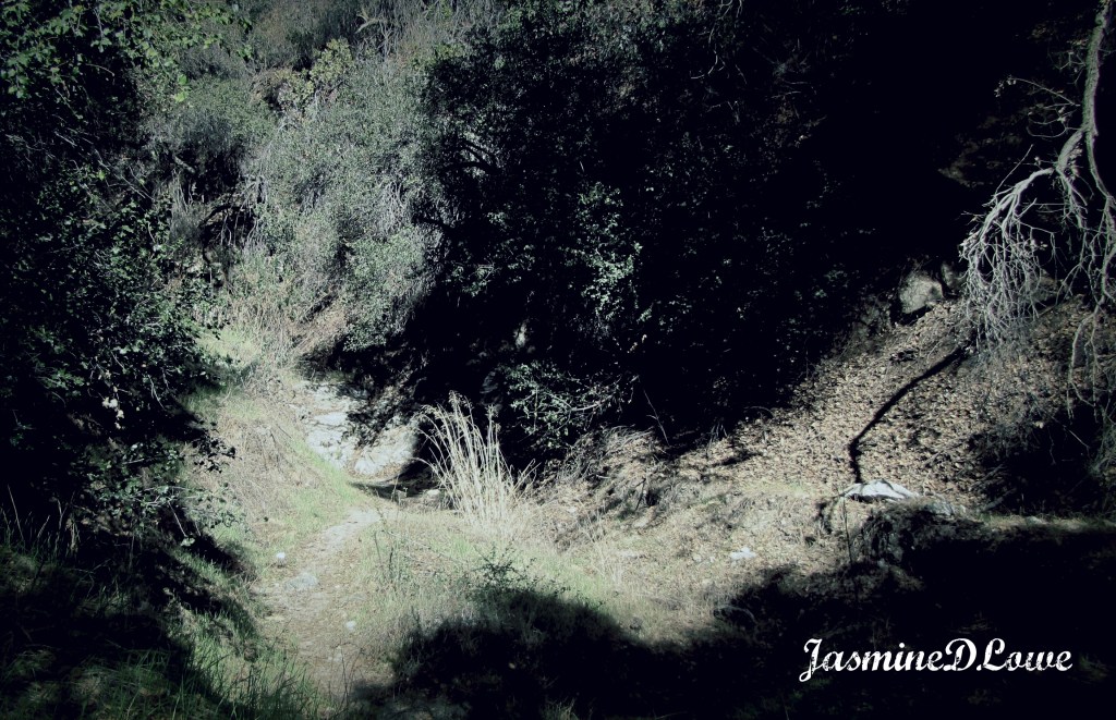 Haunted Trails: Part 1 of&nbsp;3