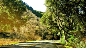 Beyond the Shock Wave