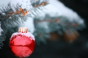 Photo by Jessica Neuwerth via Flickr