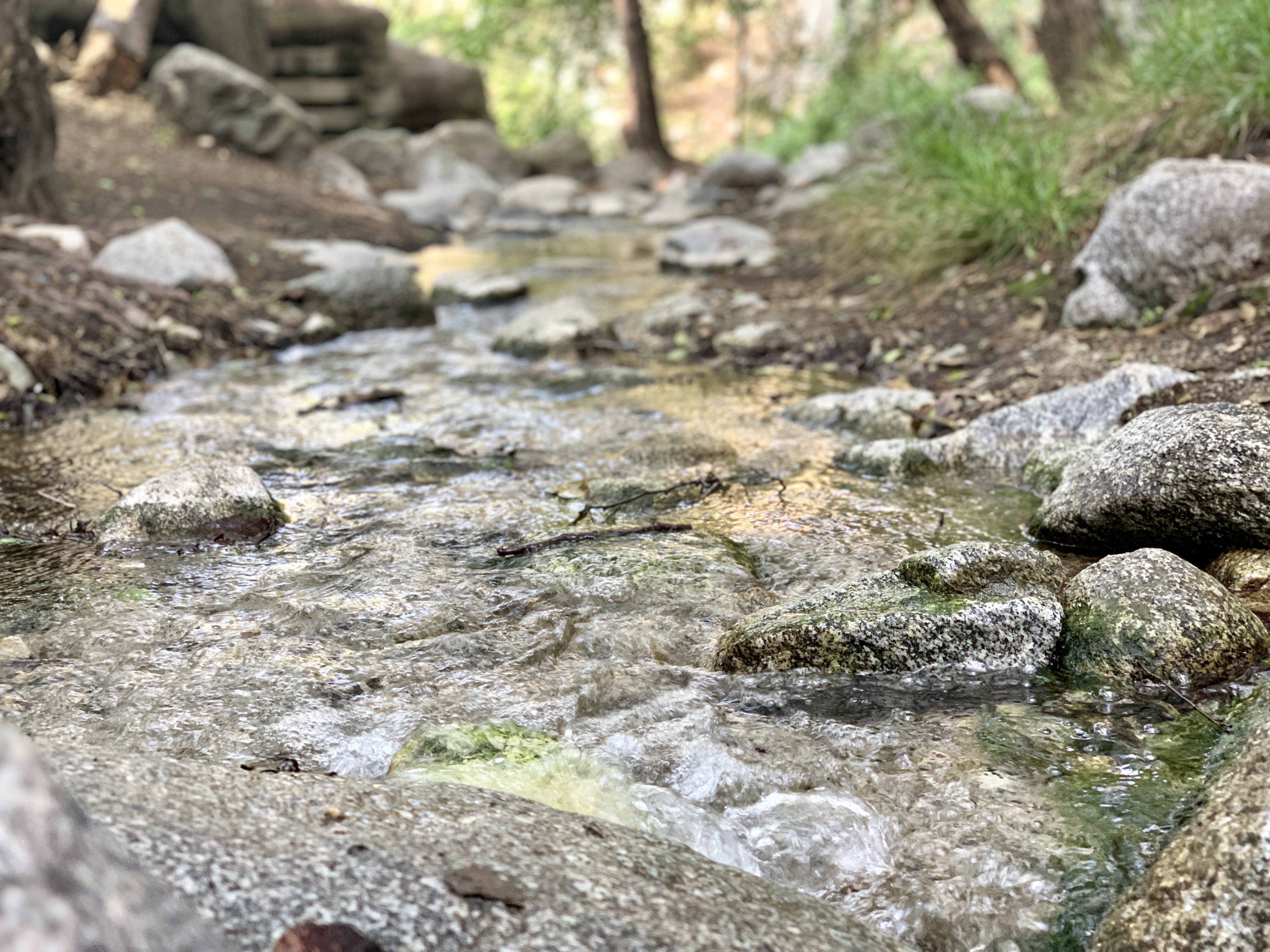 Following the stream along the hiking trail