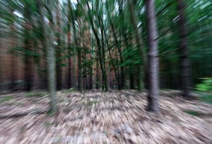 5878708726_a07c948556_z