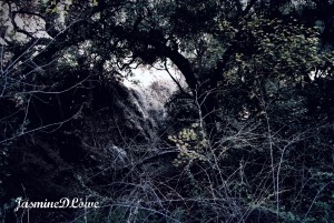 Haunted Trails Part 2